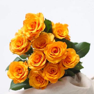 China Natural Wholesale Fresh Cut Flowers Roses Floral Contact Flower Bulk Price for sale