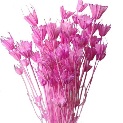 China Durable Decorative Flowers Wedding Decoration Wedding Dried Flowers for sale