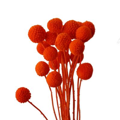 China Durable Decorative Flowers Dried Flower Bouquets Mothers Day Gifts for sale