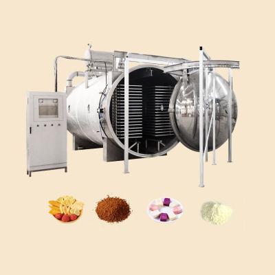 China High efficiency low cost freeze drying freeze dryer machine fruit and vegetable vacuum industrial freeze dryer for sale