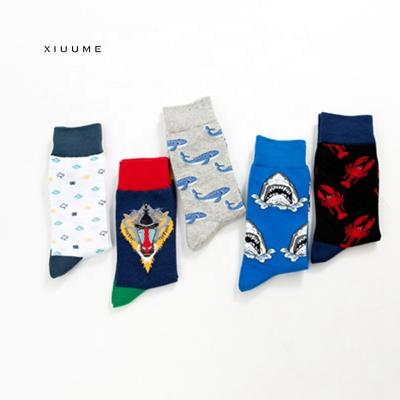 China Antibacterial Wholesale Colorful Fashion Crazy Squid Men's Casual Tube Boys Dress Socks Cotton for sale