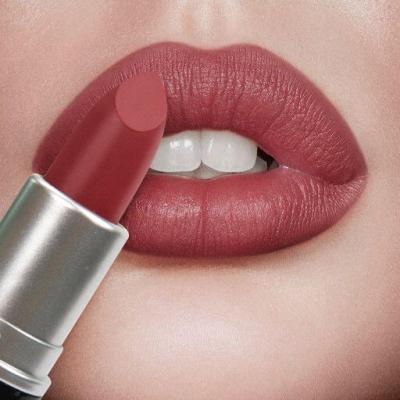 China Waterproof Velvet Logo Mini Bullet Nude Vegan Waterproof Custom Create Your Own Mini Private Label Red Matte Lipstick Brand Lipstick for sale