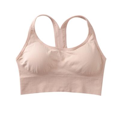 China New Fashion Breathable Fitness Lift Up Sports Bra With Removable Cup Single Yoga Bra For Women for sale