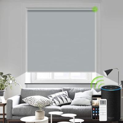 China Wifi Percianas Enrollables Electricas PVC Blind Water Resistant Electric Electronic Automatic Roller Blinds for sale