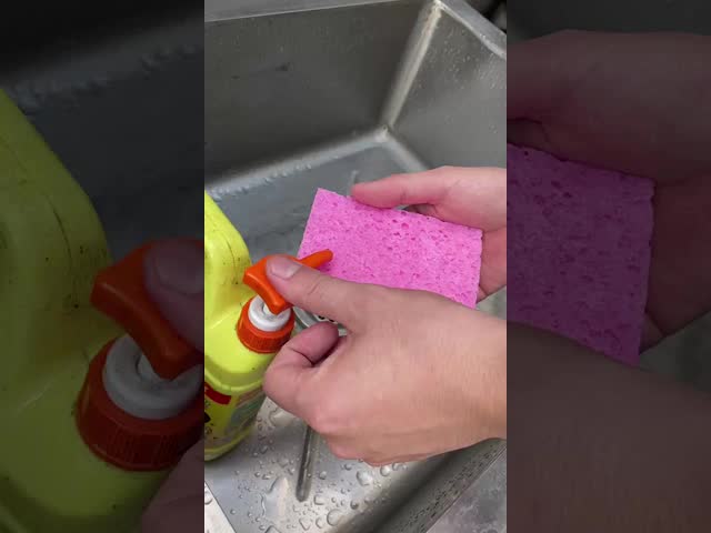 Foaming of cellulose sponge