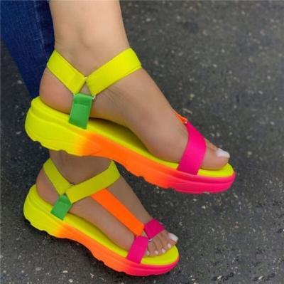 China Wholesale new arrival stylish ladies sandals and slippers breathable latest fashion flat shoes women slippers for sale