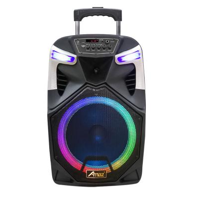 China 12 Inch Trolley Portable Speaker Party Speaker Active Karaoke Wireless System With Led Light for sale