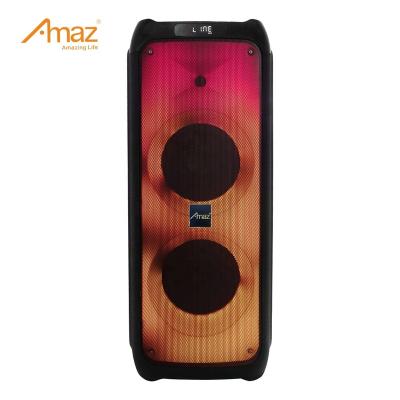 China No China Factories Temeisheng Rock Party Speaker Woofer Party Speaker New for sale