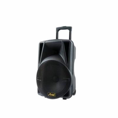 China Professional Wireless System Factory Direct Sales Temeisheng Trolley Wireless Speaker for sale