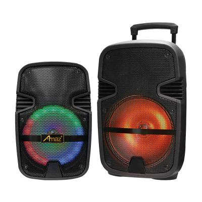 China Portable 10 Inch Trolley Wireless Speaker for sale