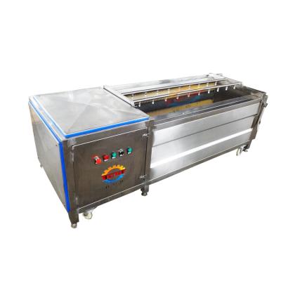 China Dairy Factory Hot Sale Vegetable Carrot Potato Washing And Peeling Machine for sale