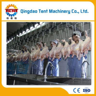 China Convenient to use slaughterhouse used poultry equipment for sale for sale