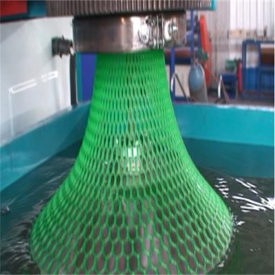 China Plastic Sheet Geonet Making Machine Road Barrier Mesh Net Production Line for sale