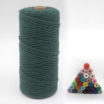 China Wholesale 3mm Colorful Single Strand 5mm Sheweave High Tenacity Macrame Rope for sale