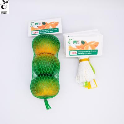 China 100% Compostable PLA Cornstarch Citrus Knitted Tubular Mesh Products In 2019 Demand Berry Elastic Packaging Meshing Fruit Box Lid for sale