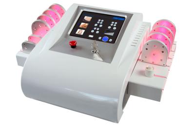 China Non - Invasive 10 Pad Lipo Laser Slimming Machine For Loss Weight No Pain for sale