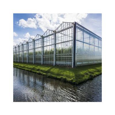 China Hot Dip Galvanized Steel Competitive Price Morocco Venlo Prefab Agricultural Greenhouse for sale