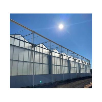 China Hot Dip Galvanized Steel Professional Manufacturer CO2 Controller Sprayer Venlo Greenhouse for sale