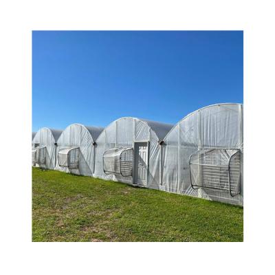 China Installation Instruction Manufacturer Wholesale Multi-Span Agricultural Greenhouses For Sale for sale