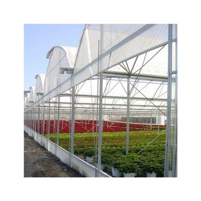 China Installation Instruction Factory Wholesale Price Hydroponics System Plastic Film Straps Multi-span Greenhouses for sale