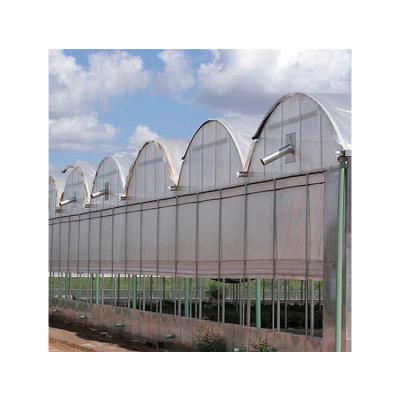 China Hot Dip Galvanized Steel Competitive Price Commercial Multi-Span 200 Micron Greenhouse Plastic Film Greenhouse for sale