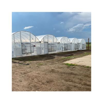 China Installation Instruction Manufacturer Chinese Multi-Span Home Greenhouses for sale