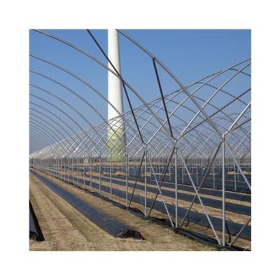 China Hot Dip Galvanized Steel Factory Wholesale Price UV Plastic Blueberry Greenhouse For Garden for sale