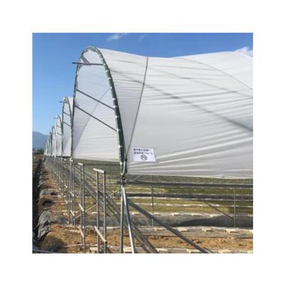 China Hot Dip Galvanized Wholesale China Geodesic Dome Blueberry Steel Online Greenhouse for sale