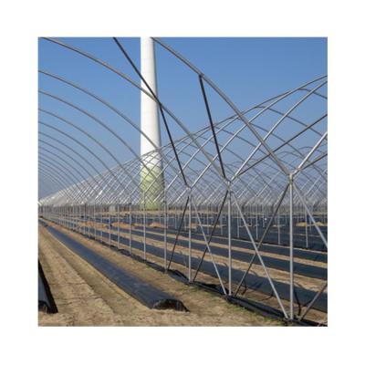 China Hot Dip Galvanized Steel Plastic Film Blueberry Greenhouse From China Supplier Manufacturer for sale