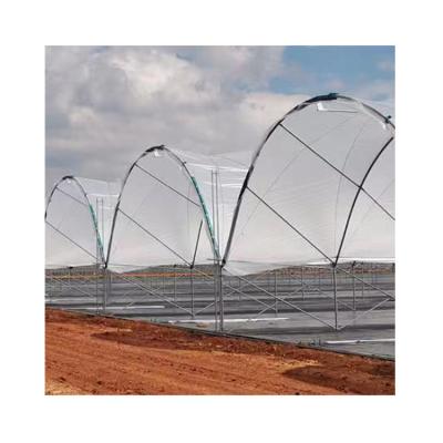 China Hot Dip Galvanized Steel Chinese Manufacturer Small Sawtooth Blueberry Greenhouse For Sale for sale