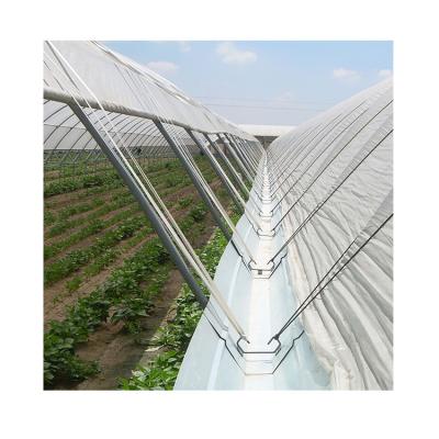 China Hot Dip Galvanized Factory Price Steel Agriculture System Blueberry Greenhouse With Solar for sale