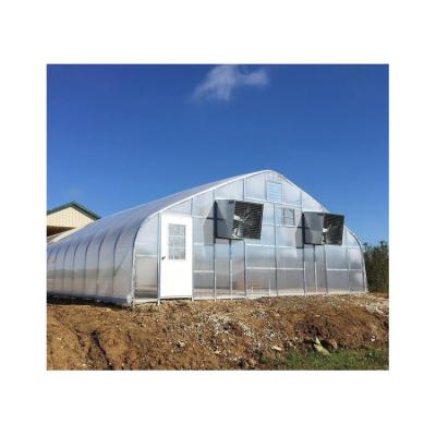 China Hot Dip Galvanized Factory Price Anti Insect Hydroponic Net Systems Steel Single Span Greenhouse for sale