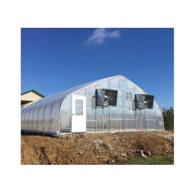 China Hot Dip Galvanized Steel Online Wholesale Single Span Polycarbonate Greenhouse For Agriculture for sale