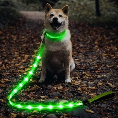 China Stocked New Arrival Light Up Dog Leash, USB Rechargeable Glowing LED Dog Leash, Nylon Flashing Dog Leash for Night Walking for sale