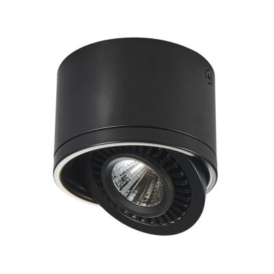 China Modern LED Black LED Ceiling Spotlight, 3W 5W 7W 15W Adjustable Spot Outdoor Mounted Downlight for Living Room, Hallway, Corridor for sale