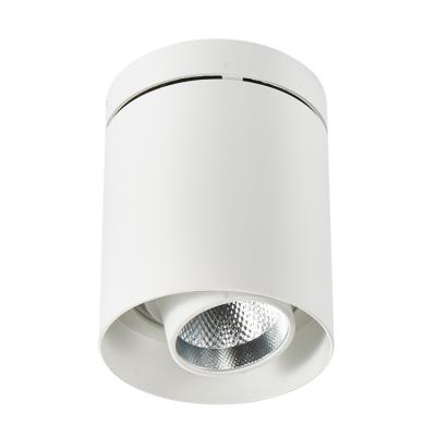 China Modern Indoor Outdoor LED Ceiling Spotlight 18W 30W COB Mounted Lighting Swivel Lamp 360 Degree Adjustable Downlight for sale