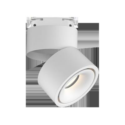 China Modern Outdoor 12w Focos LED Ceiling Mounted Spots Mini Spotlight Shell Aluminum Light 360 Degree Adjustable Kitchen LED Downlight for sale