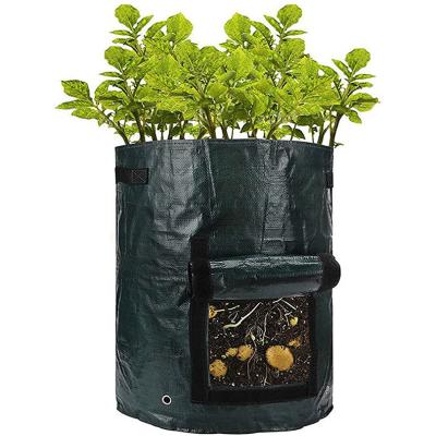 China High Quality PE Growing Pot 10 Gallon Garden Plant Grow Bags Plant Grow Bag With Handles for sale