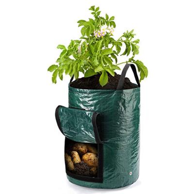 China Plant Growth Poly Grow Bag Plant Bags Pot Growing PE To Grow Bag With Handles for sale