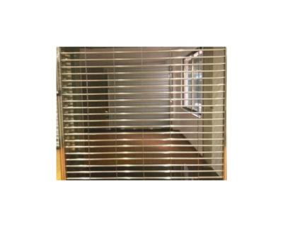 China Security Stainless Steel Grills Lightweight Modern Electric Roller Shutter Door for sale