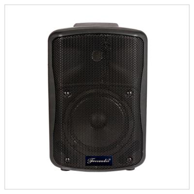 China Wholesale High Quality Rechargeable Wireless Multifuncton 6.5 Inch Portable Trolley Speaker for sale