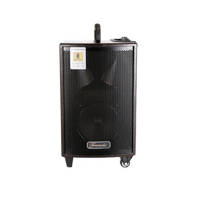 China Various Factory Manufacture Good Quality Professional Portable Trolley Speaker for sale