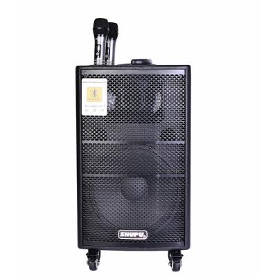 China Portable Radio 15mm MDF 35hz-18khz Class D Amplifier Trolley Speaker for sale