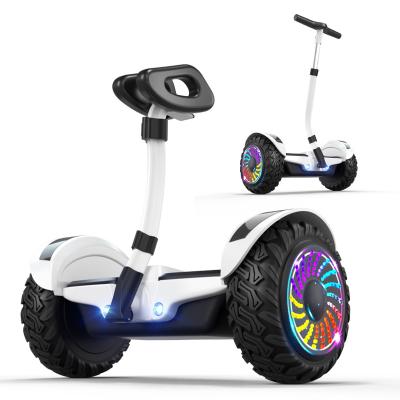 China Factory Powerful Electric Self Balancing Scooter 700W Electric Self Balancing Scooter Hoverboards With 10.5inch Led Wheel for sale