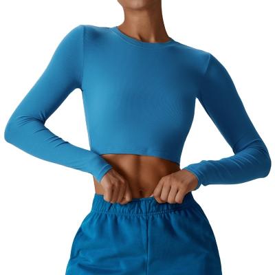 China Breathable Wholesale Custom Logo Cropped Ribbed Gym Yoga T Shirts Round Neck Design Fitness Clothing Workout Top Long Sleeve Crop Women for sale