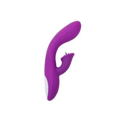 China Silicone+ABS New Arrival Wholesale Factory Price Portable 2 In 1 Dildo Clitoralis Stimulator Lesbian Double Ended Vibrator For Female for sale