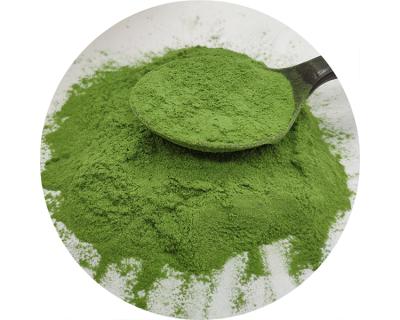 China China Supplier Dry Organic Green Vegetable Freeze Dried Snacks Spinach Powder for sale