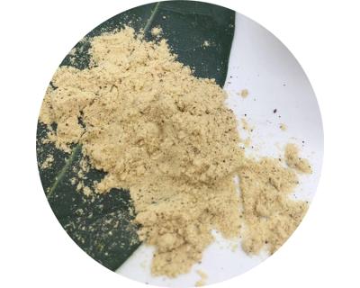 China Factory wholesale price dry pure natural organic flavor food pumpkin powder for home for sale