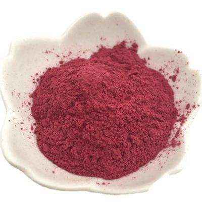 China Dried Made In China Snack Supply Delicious Tasty Organic Juice Red Root Beet Powder for sale