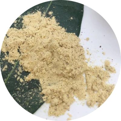 China Dry Natural Freeze Dried Pumpkin Protein Powder/Pumpkin Seed Extract Powder for sale